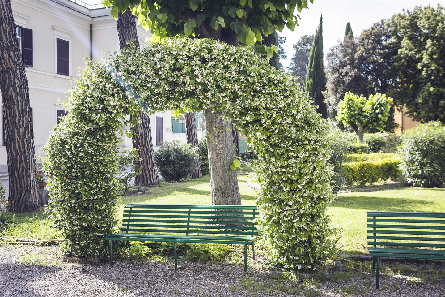 Giardino