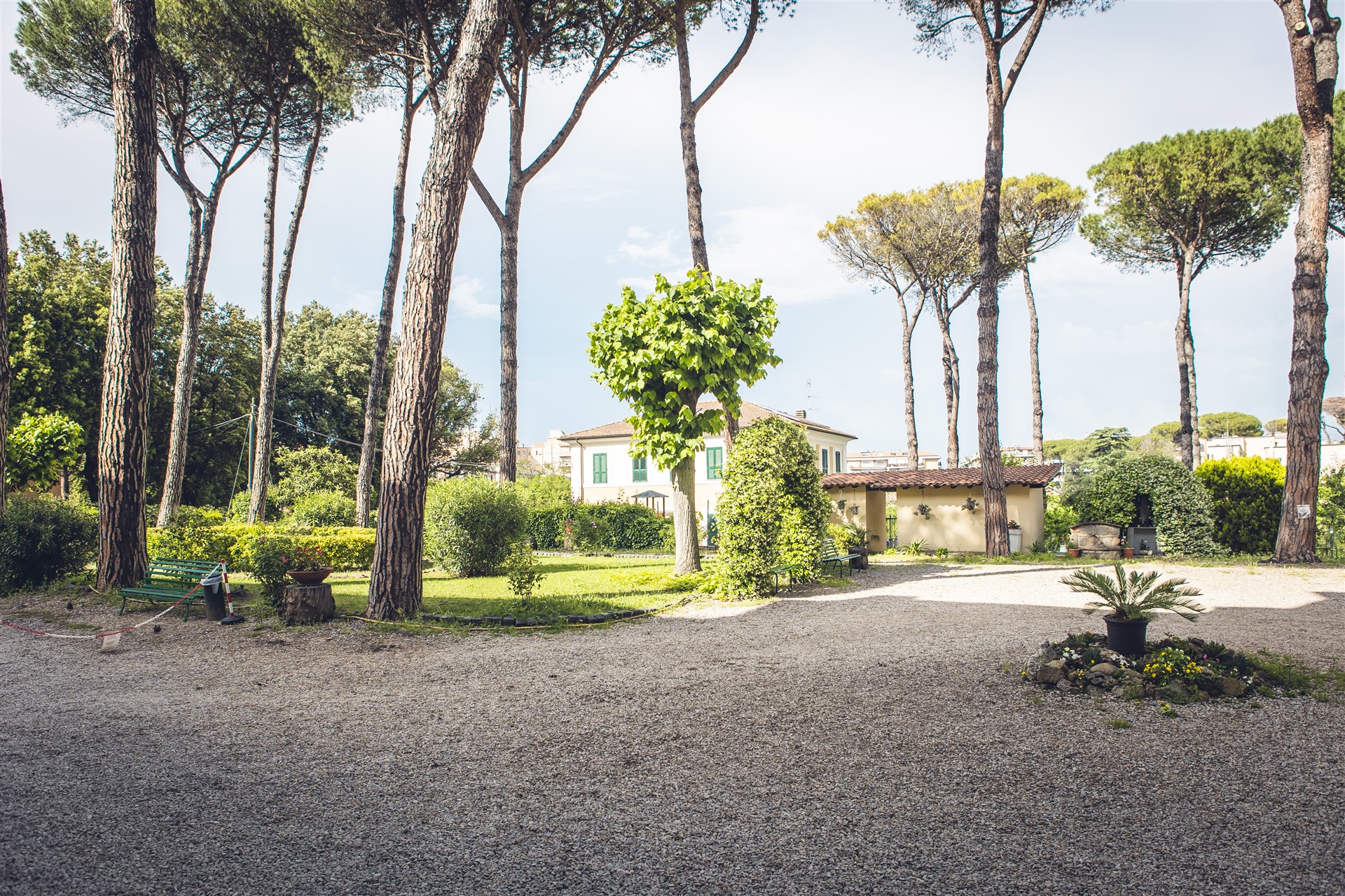 Il giardino di pini della Casa per Ferie San Luigi